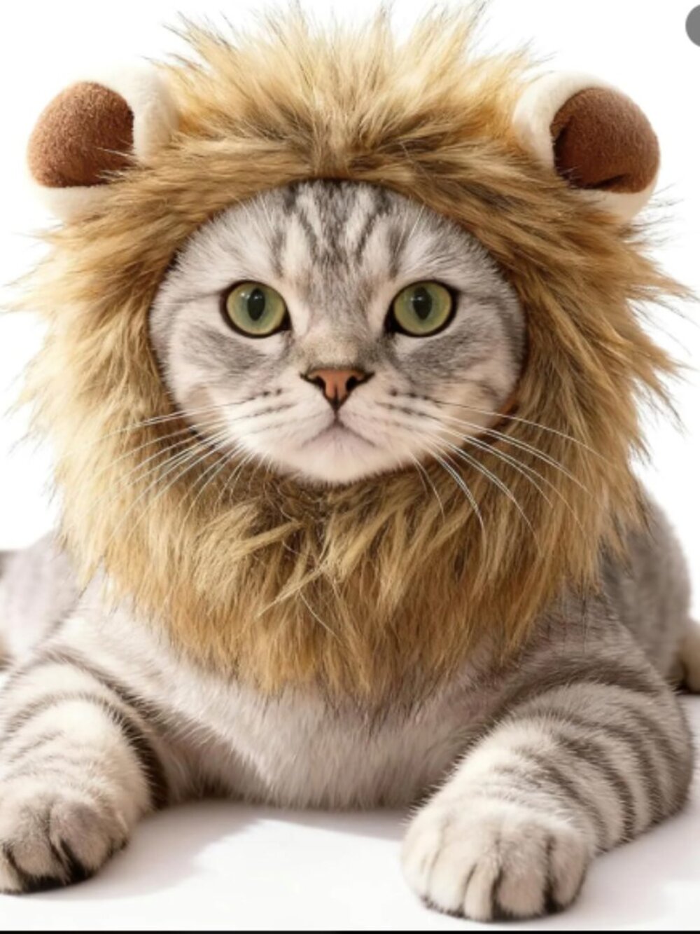 Pet Lion Mane Wig Costume For Cats And Small Dogs Funny Adjustable Faux Fur Hat